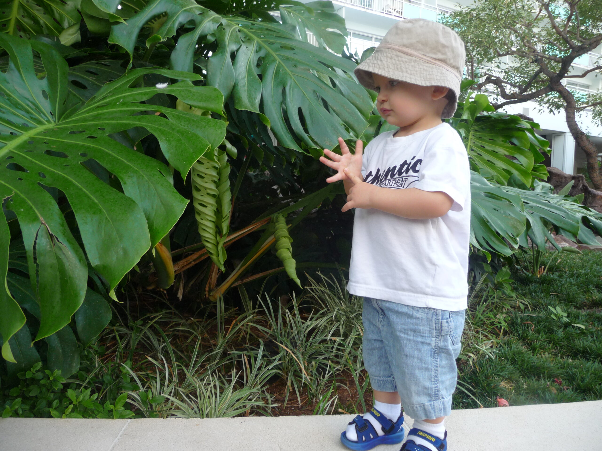 Matthias-leaf-pic-1